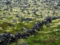 Moss covered lava field Royalty Free Stock Photo