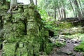 Moss covered limestone with a small cave in a forest in Peninsula State Park, Wisconsin Royalty Free Stock Photo