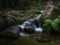 Moss covered natural waterslide rockpools Cleopatras Pool at Torrent river Bay in Abel Tasman National Park New Zealand Royalty Free Stock Photo