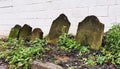 Moss covered old family gravestones