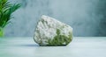 Moss-covered rock in a serene natural setting Royalty Free Stock Photo