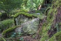 Moss Covered Rock Royalty Free Stock Photo