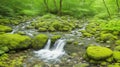 Moss-covered rocks along a babbling brook, with butterflies flitting over the clear water