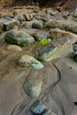 Moss covered rocks on beach. Royalty Free Stock Photo