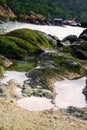 Moss covered on rocks at the beach Royalty Free Stock Photo