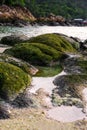 Moss covered on rocks at the beach Royalty Free Stock Photo