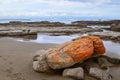 Moss covered rocks on the beach