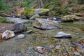 Missy and crystal clear Vermont brook in Royalty Free Stock Photo