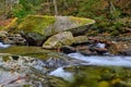 Missy and crystal clear Vermont brook in autumn Royalty Free Stock Photo