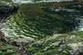 Moss-covered rocks at the edge of a mountain pond. Royalty Free Stock Photo