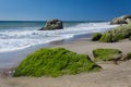 Moss Covered Rocks at Leo Carillo State Beach Royalty Free Stock Photo