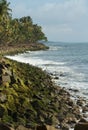 Moss covered rocks and line of coconut trees along the sea shore Royalty Free Stock Photo