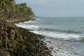 Moss covered rocks and line of coconut trees along the sea shore Royalty Free Stock Photo