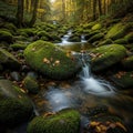 Moss covered rocks line a small cascading stream in a dense forest setting Royalty Free Stock Photo