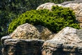 Moss covered rocks Royalty Free Stock Photo