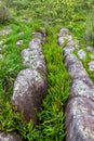 Moss-covered rocks in a serene nature landscape with a stone path, surrounded by trees, grass, and a gentle waterfall in a Royalty Free Stock Photo