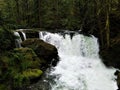 Whatcom Falls