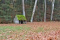 Moss covered roof and fall leaves covered field on a farm Royalty Free Stock Photo