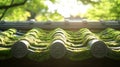 Moss Covered Roof Tiles in Sunlight Royalty Free Stock Photo