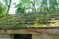 A moss covered shingled roof Royalty Free Stock Photo