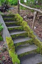 Moss covered stairs in garden Royalty Free Stock Photo