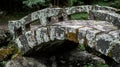 Moss-Covered Stone Bridge Over a Stream Royalty Free Stock Photo
