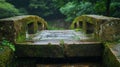 Moss-Covered Stone Bridge in a Rainy Forest Royalty Free Stock Photo