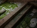 Moss covered stone floor Royalty Free Stock Photo