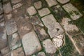 Moss covered stone floor Royalty Free Stock Photo