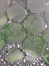 Moss-covered stone pavement with textured hexagonal blocks and scattered pebbles in natural outdoor light. Royalty Free Stock Photo