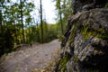 A moss-covered stone wall and a dark and moody gravel path leads through a lush, green deciduous forest Royalty Free Stock Photo