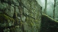 Moss-Covered Stone Wall in a Misty Forest Royalty Free Stock Photo