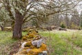 Moss-covered stone wall with ruins in the background