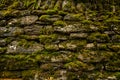 Moss Covered Stone Wall Royalty Free Stock Photo