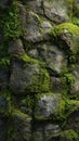Moss Covered Stone Wall Texture Background Royalty Free Stock Photo