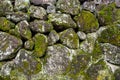 Moss covered stone wall texture