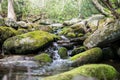 Moss covered stream with waterfall at high shutterspeed