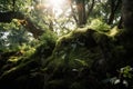 moss-covered tree trunk with dappled sunshine shining through the leaves