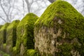 Moss covered walls of the Moorish Castle Castle of Moors on a foggy, misty day in Sintra Portugal - in selective focus Royalty Free Stock Photo