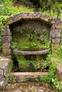 Moss covered water fountain in jungle forest.