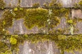 Moss Covered Wood Shingles Royalty Free Stock Photo