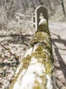 Moss covered wooden fence with heavy bokeh Royalty Free Stock Photo