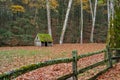 Moss covered wooden fence outlining the border of a sheep farm Royalty Free Stock Photo