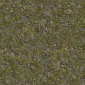 Moss on Cracked Ground with Dry Grass. Royalty Free Stock Photo