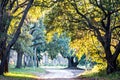 Moss draped Live Oak over the Edisto River at Botany Bay Plantation in South Carolina