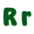 Moss fibrous letter R