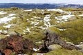 Moss fields in Iceland Royalty Free Stock Photo