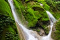 moss that fills the rocks at the Mudal River waterfall, Yogyakarta Royalty Free Stock Photo