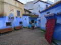 Moss fringes at the back streets of Morocco