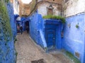 Moss fringes at the back streets of Morocco